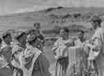 image3.jpg